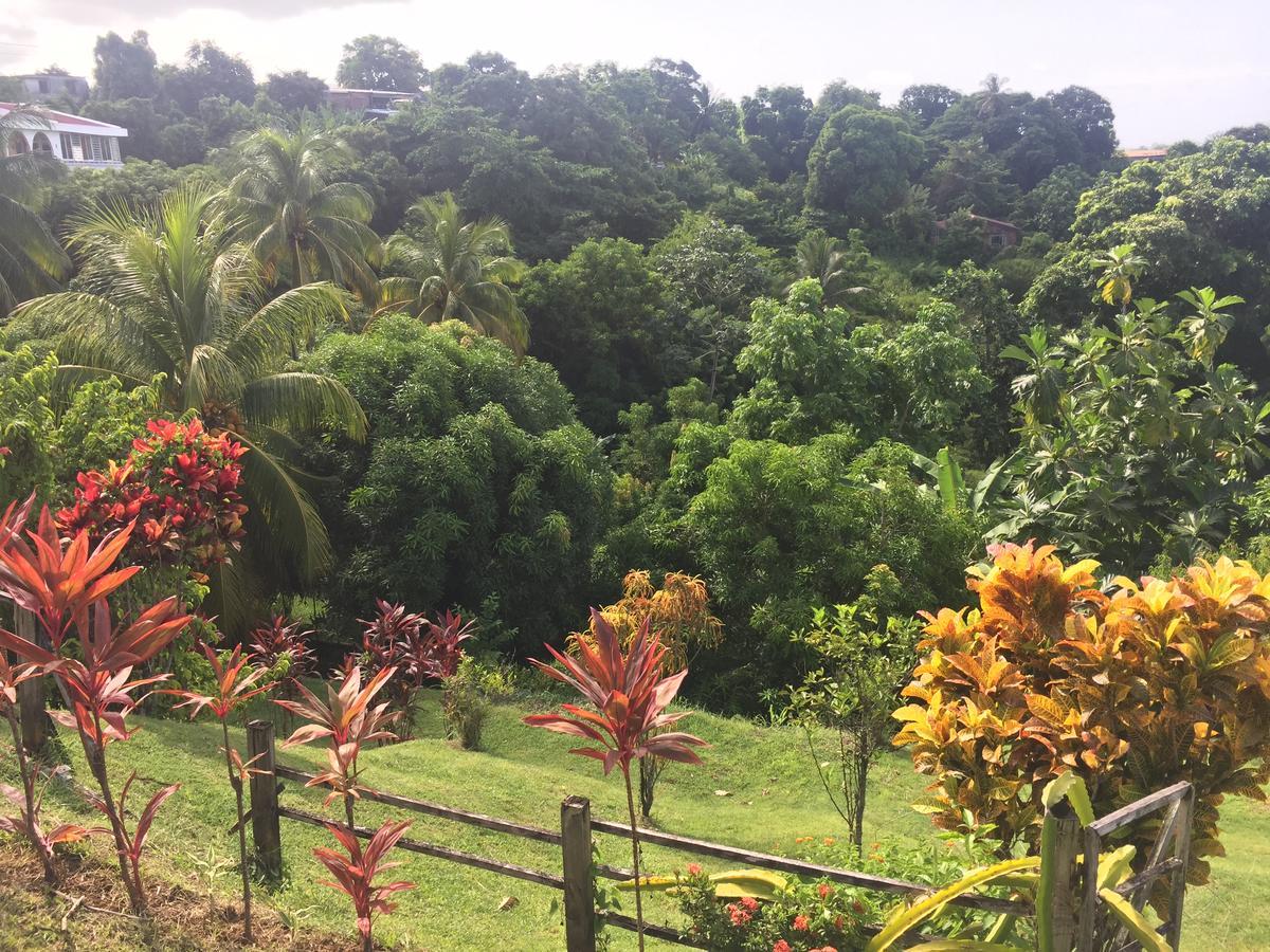 B&B Plage Des Raisiniers ลา ทรินิเต ภายนอก รูปภาพ